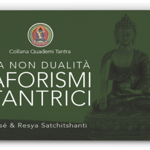 Non Dualità Aforismi